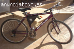 Bicicleta de montaña BH Top Line Alu 250 Madrid