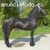 negro caballos friesian --- 6 años de edad