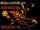 videncia 24 horas