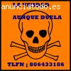 VIDENTE NIÑO AMOR SIN GABINETES TAROT