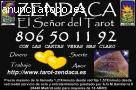 tarot zendaca 806501192