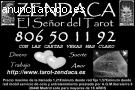 zendaca el señor del tarot 806501192