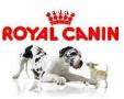 ROYAL CANIN CONCENTRADO PARA PERROS