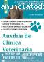 Curso de Auxiliar de Veterinaria