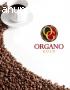 Organo Gold Empresa Nueva de Café.