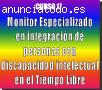 Monitor integracion discapacidad