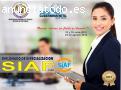 Diplomado de Especialización SIAF