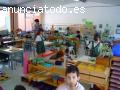 DIPLOMADO INCLUSION EDUCATIVA