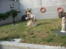Casa chalet en gondomar de 179 m2