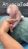¡Dos monos capuchinos bebés en venta!