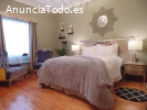 hermosas suites en coyoacan