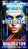MEDIUM TAROT   910312450 -806002109
