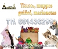 obras de títeres para Madrid
