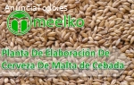 Planta De Elaboración De Cerveza De Malt