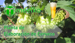 Planta de Elaboración de Cerveza