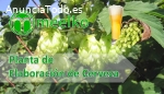 Planta de Elaboración de Cerveza