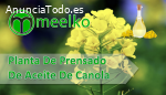 Planta De Prensado De Aceite de Canola