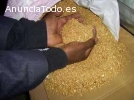 POLVO DE ORO