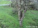 Solar urbano 400 m2 culleredo zapateira