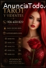 Tarot cartas Videntes buenísimas