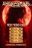 Tarot Económico 24 Horas